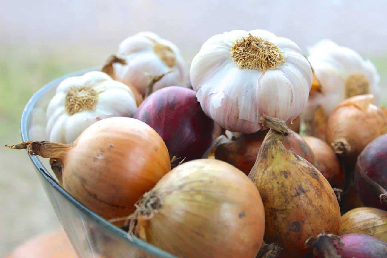 12605496_972095889531893_714007673665488893_o ui en knoflook