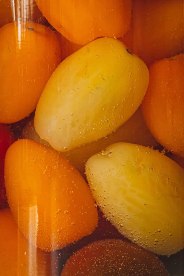 tomaten fermenteren