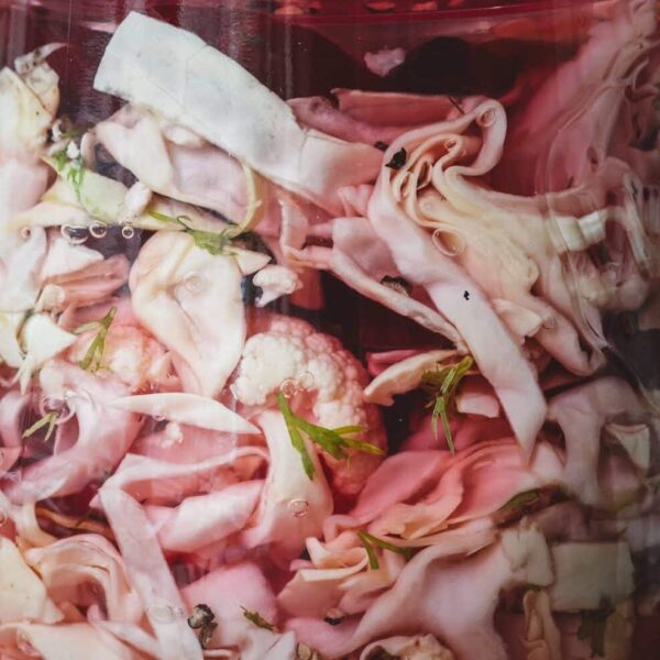 roze gefermenteerde pickle