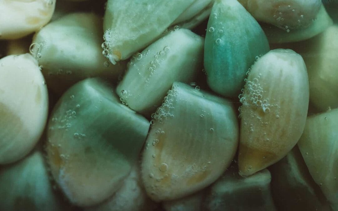 Gefermenteerde knoflook, of blauwe duivels