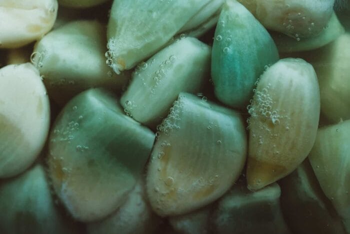 blauwe knoflooktenen blauwe knoflooktenen