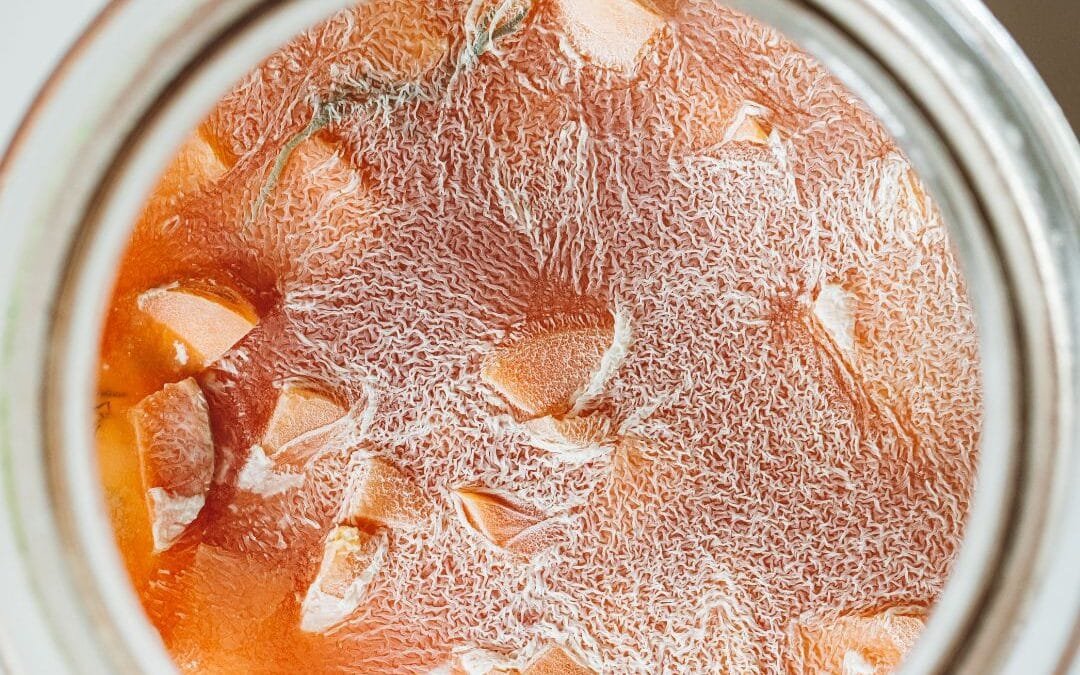 Hoe herken je het verschil tussen Schimmel en Kahm in je fermentaties?