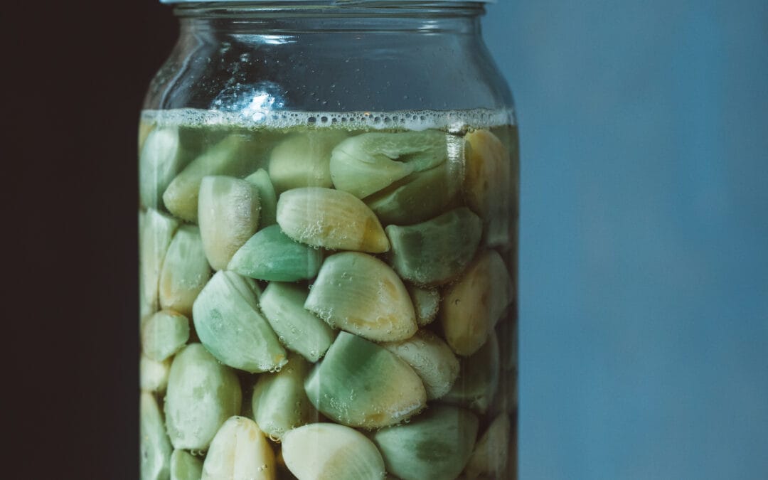 Starter van gefermenteerde knoflooktenen
