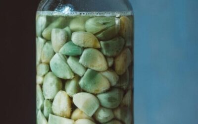 Starter van gefermenteerde knoflooktenen