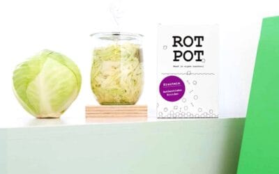 Zuurkool maken: het complete stappenplan (met zoutpercentage)